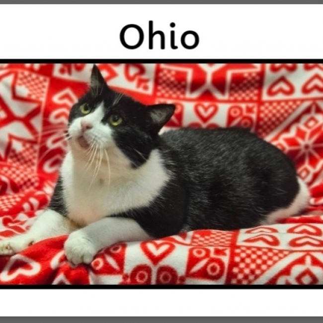 Photo de Ohio