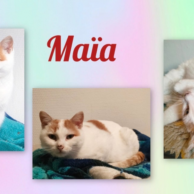 Photo de Maïa