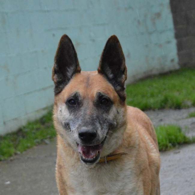 Photo de Lucky dit vicky