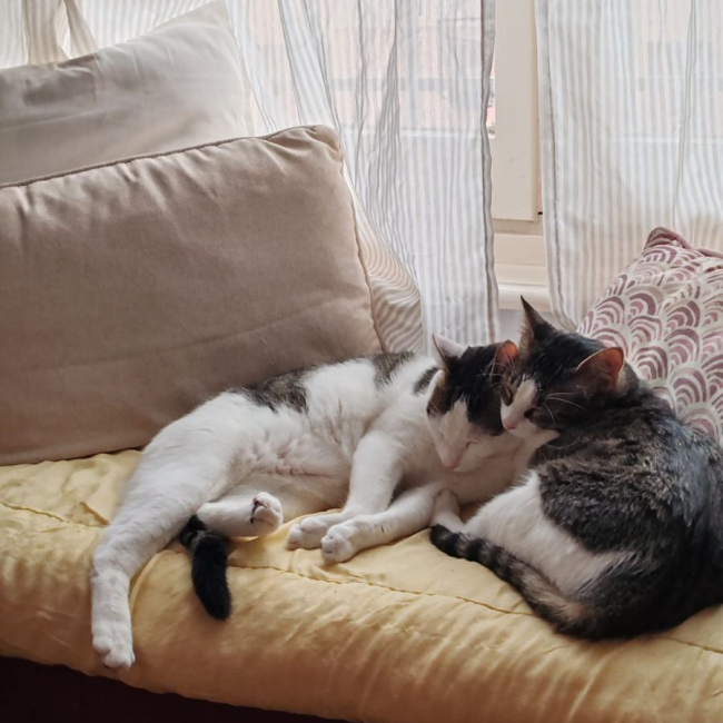 Photo de Mia et Moka