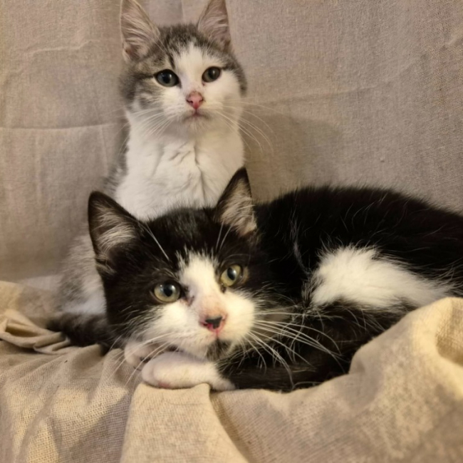 Photo de Alex réservé