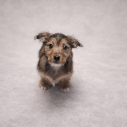 Photo de Badoo réservé