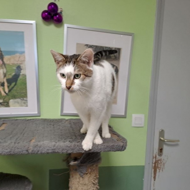 Photo de Gump réservé