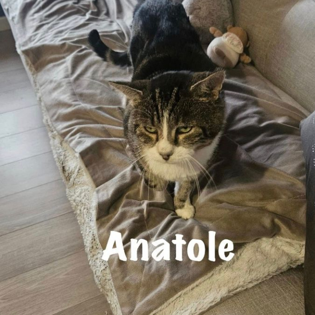 Photo de ANATOLE