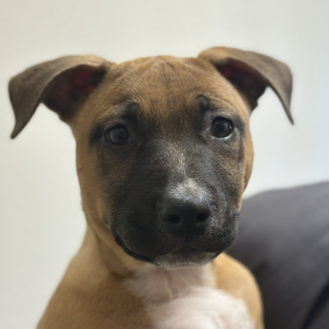 Photo de Eroy mr lin