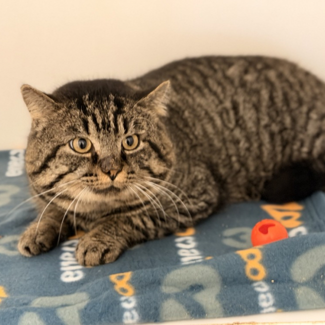 Photo de P'tit lutin