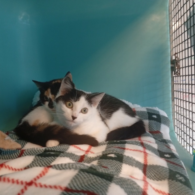 Photo de Anne-carole