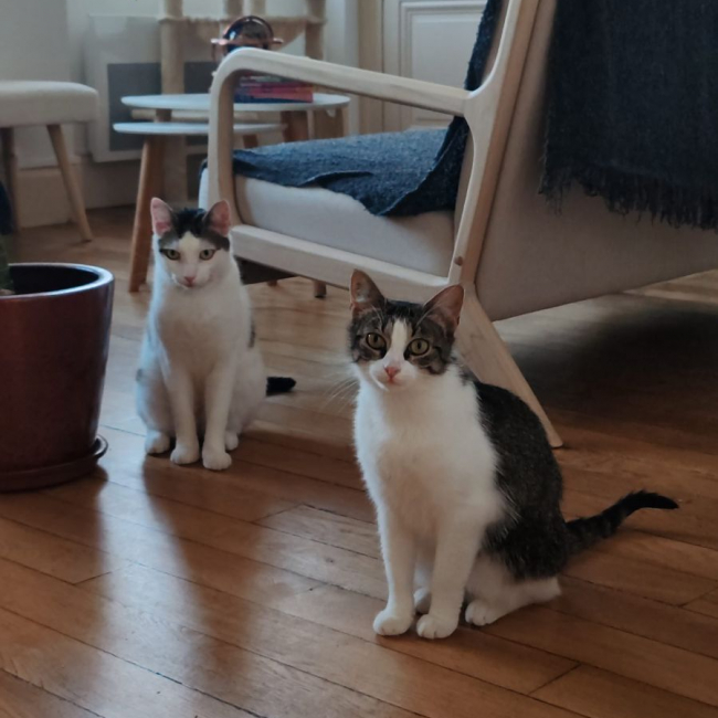 Photo de Mia et Moka