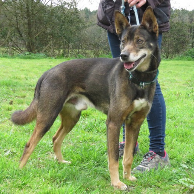 Photo de Atoll dit tolou