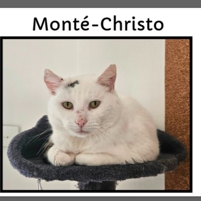 Photo de Monte cristo