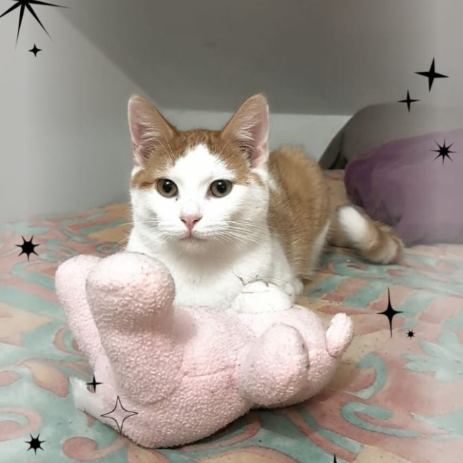 Photo de Automne et Storm