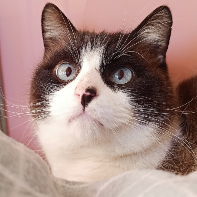 Photo de Montessouris