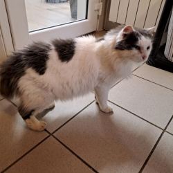 Photo de Réservé biscuit