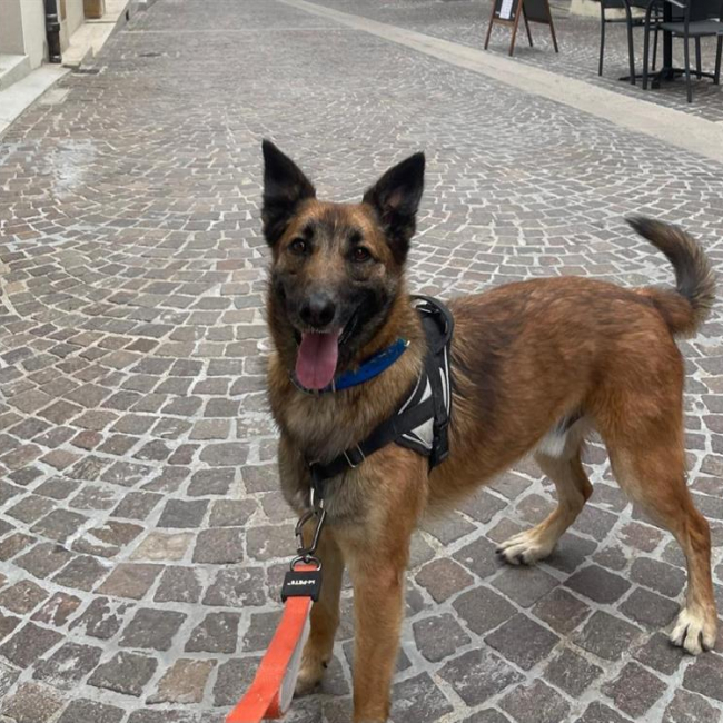 Photo de Jean claude