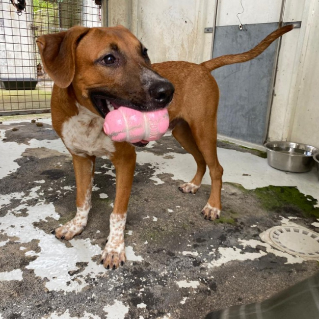 Photo de Joffrey dit jack