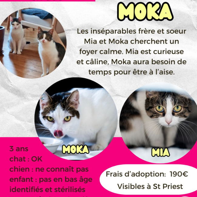 Photo de Mia et Moka