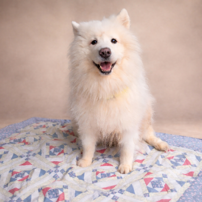 Photo de Iska réservé