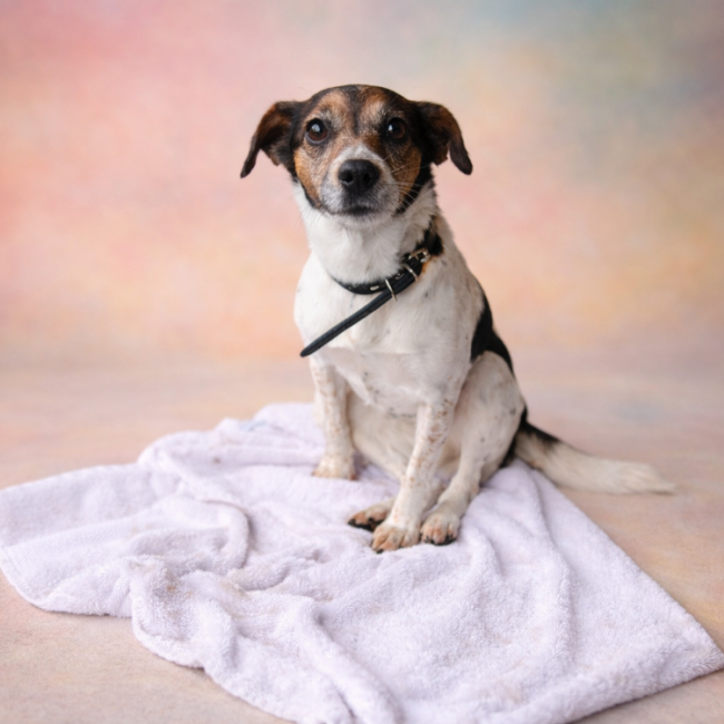 Photo de Maya réservé