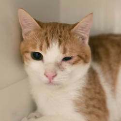 Photo de Mr crachouille