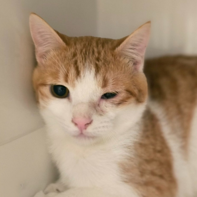 Photo de Mr crachouille