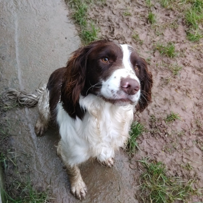 Photo de Aston réservé