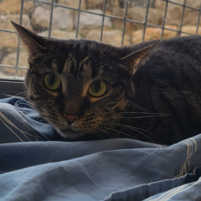 Photo de Velleda dit mimine