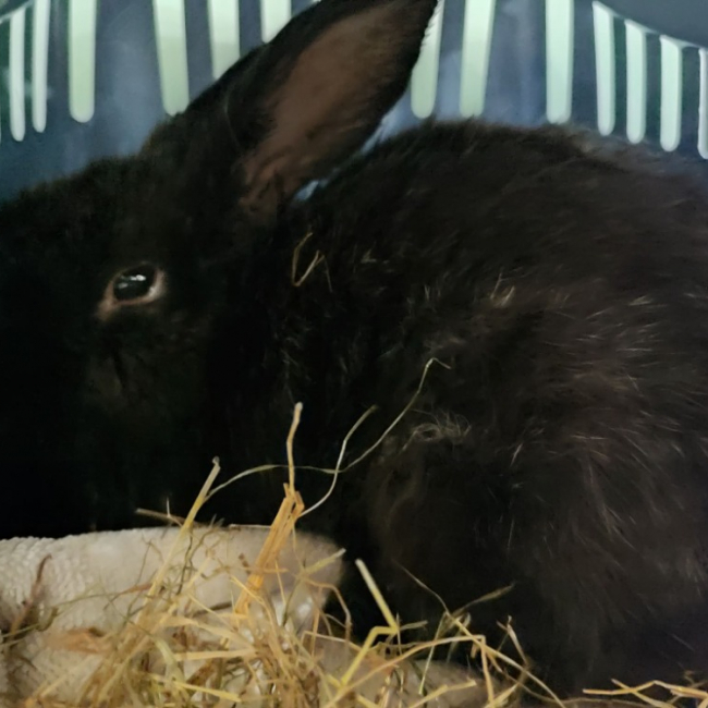 Photo de Malzeno qnac