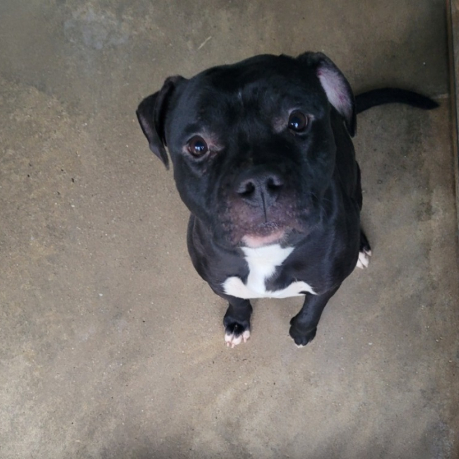 Photo de Jean jacques