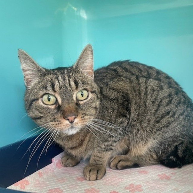 Photo de Olympe dit titi