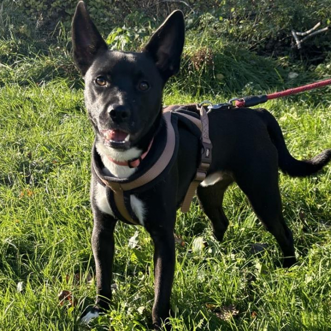 Photo de Undy dit ayako