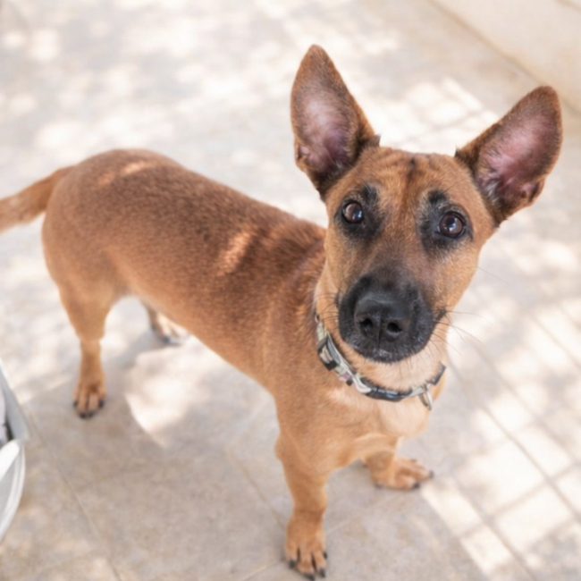 Photo de Sama reservé