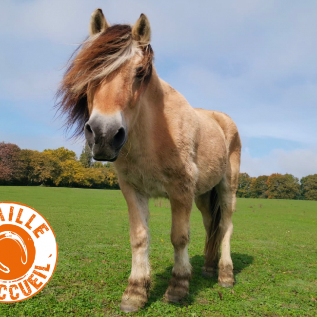 Photo de Marou de belnoé