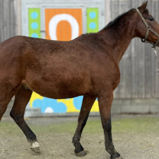 Photo de Of gy de sen