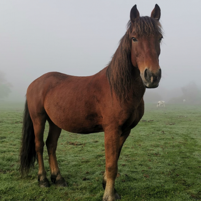 Photo de Bach de belnoe