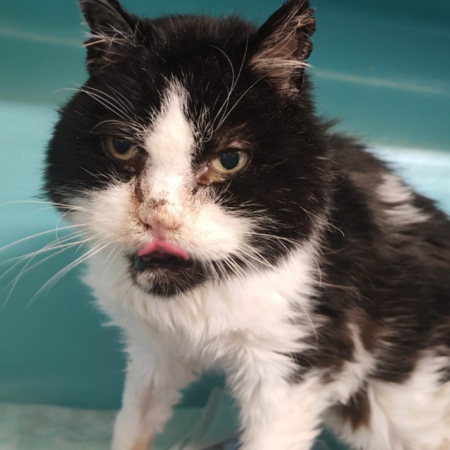 Photo de Ex tonton /hercule