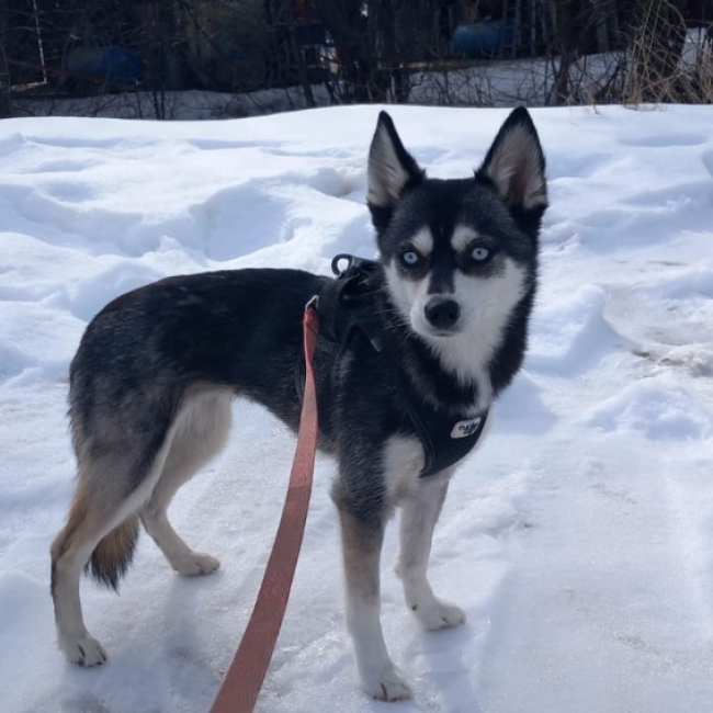 Photo de Alaska cnne