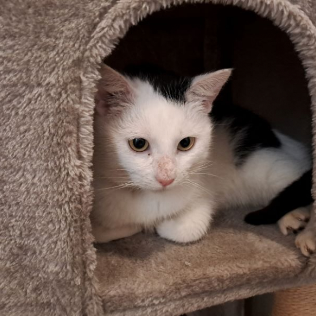 Photo de Réservé soka