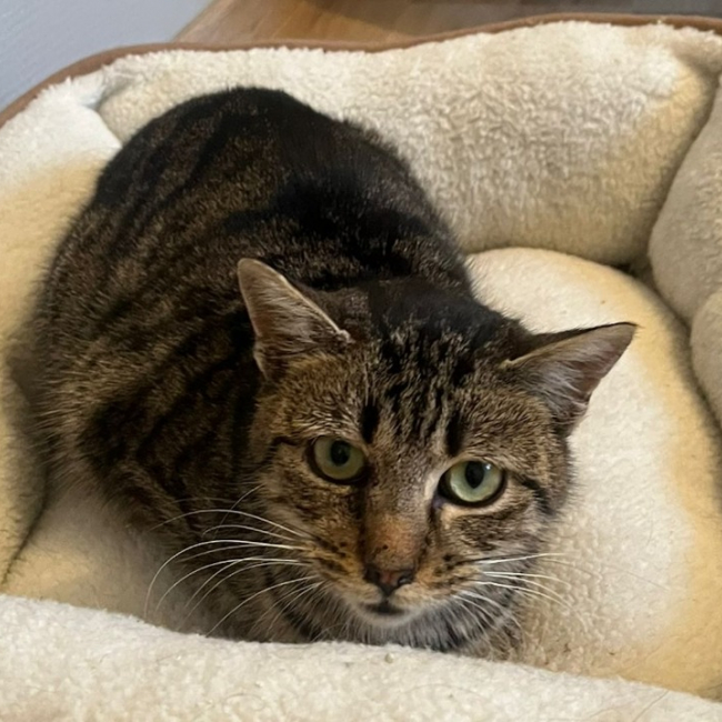 Photo de Perle chez lola