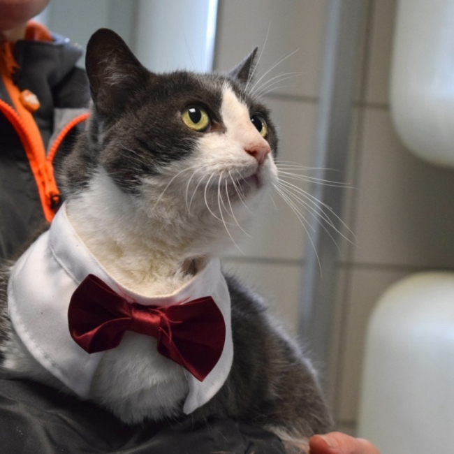 Photo de Brigitte - reservee