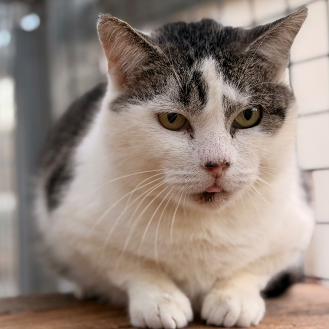 Photo de Palombaggia