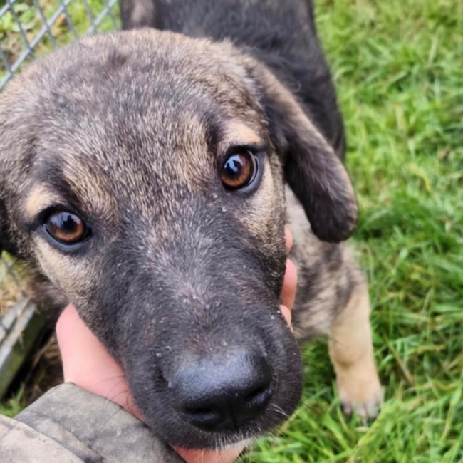 Photo de Riju - reserve