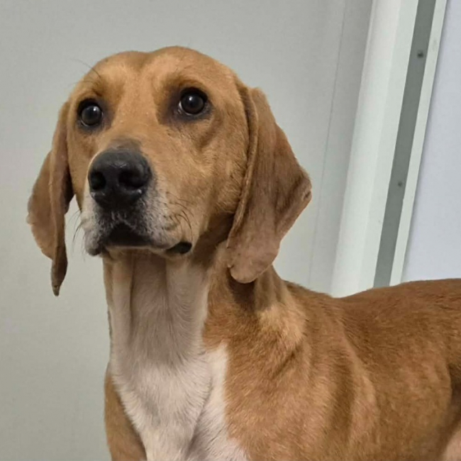 Photo de Lamborghini