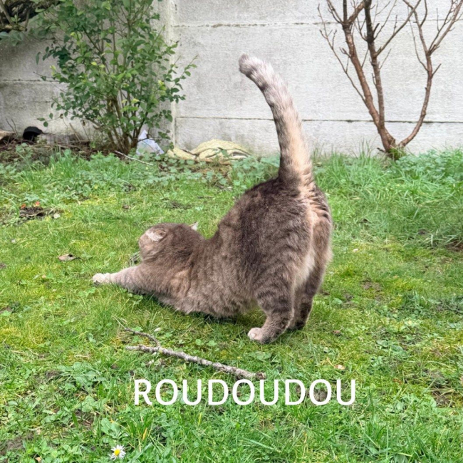 Photo de ROUDOUDOU