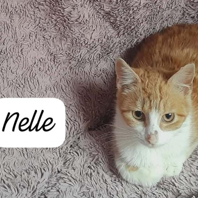 Nelle