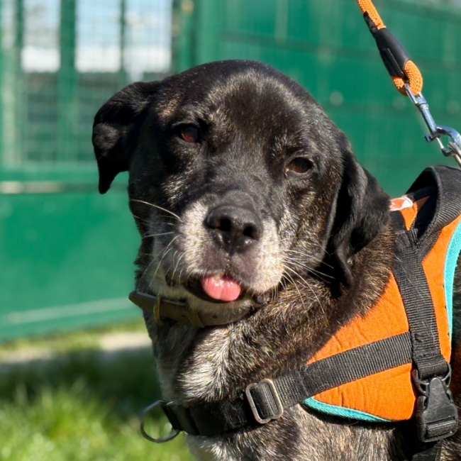 Photo de Pryce dit ikso