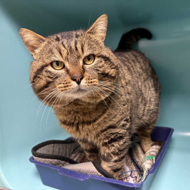 Photo de Barberousse