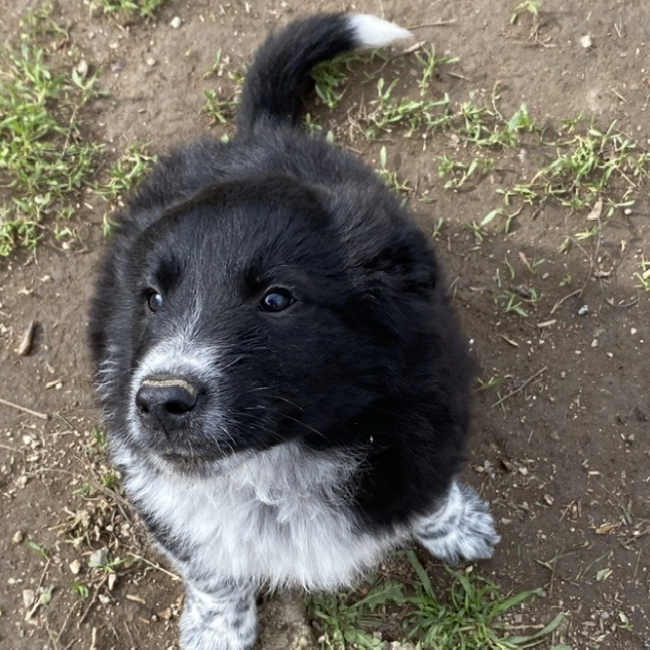 Photo de Ninja-warrior