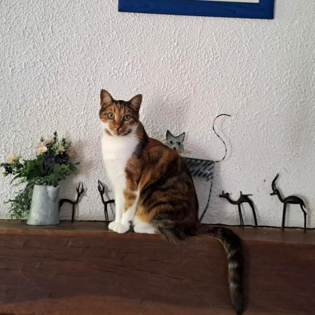 Photo de VENUSIA