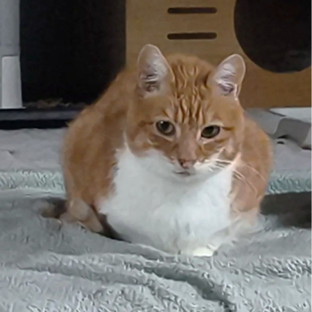 Photo de TIMINOU