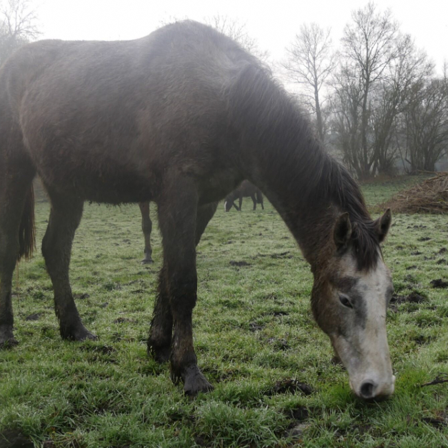 Photo de News de belnoe